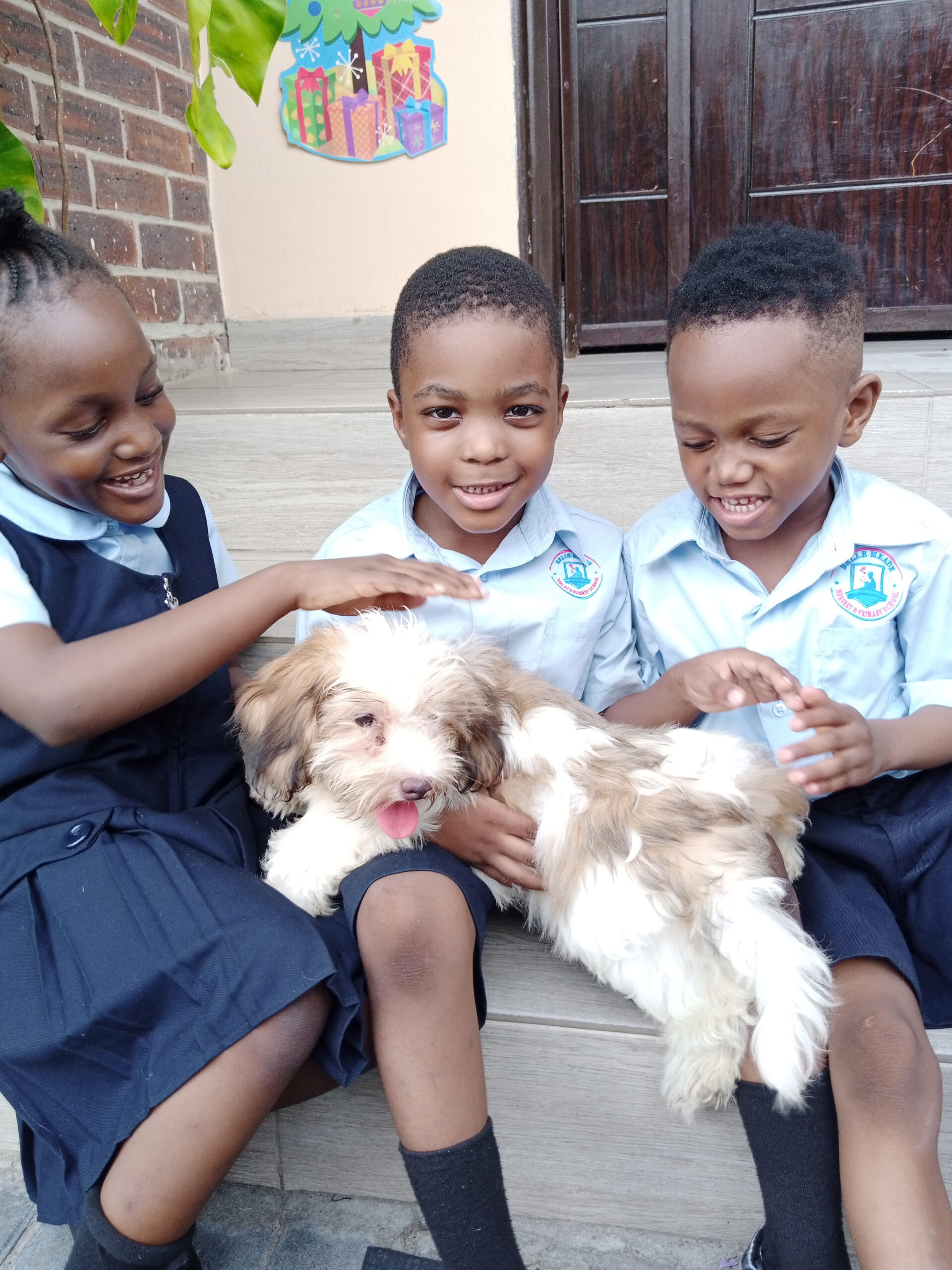 belle meade school - infrastructure