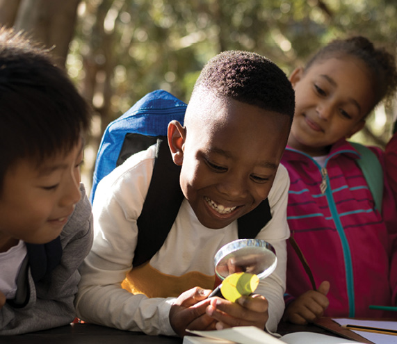 curriculum - physical, social and mental development