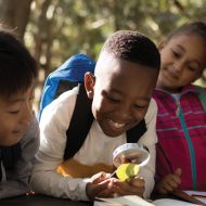 curriculum - physical, social and mental development